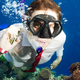 Illustration for article titled Waterproof Gear for Your Adventures This Spring and Summer